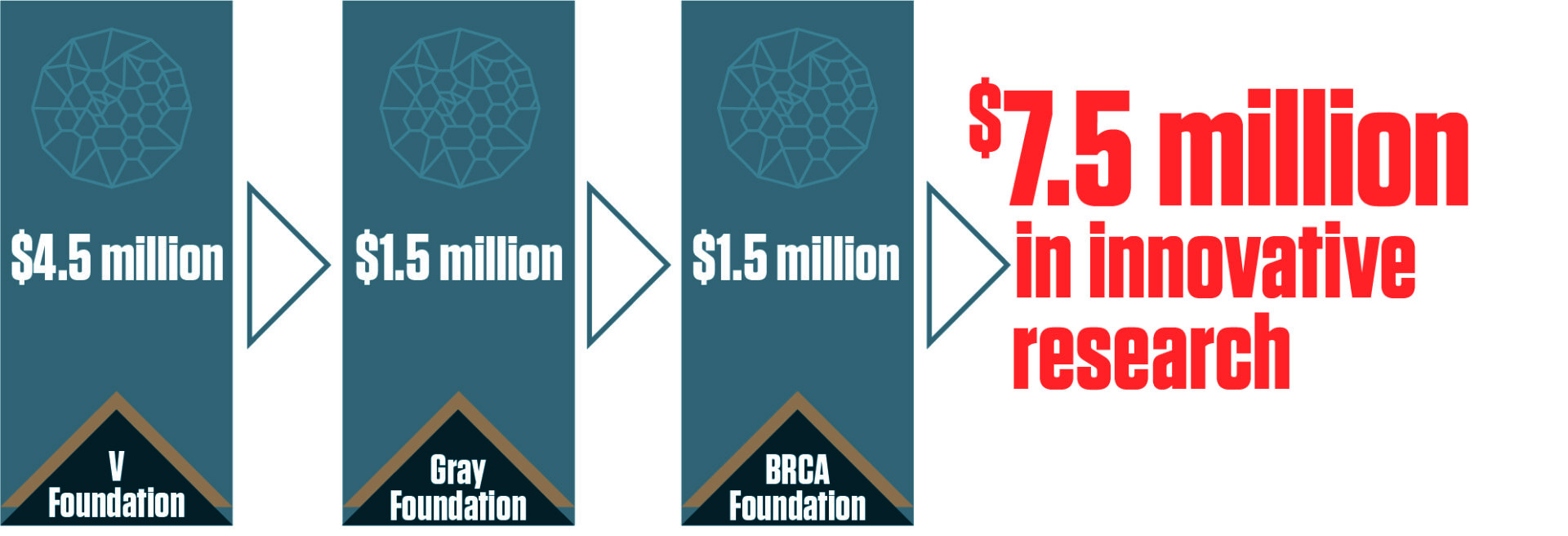 BRCA Mutation graphic showing the combined funding provided by Gray and the V foundation to the BRCA research center